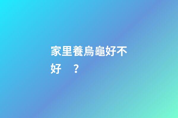 家里養烏龜好不好？
